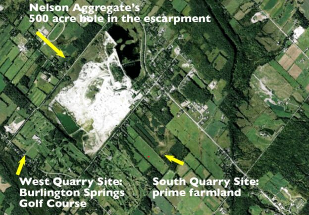 Ecological Consequences